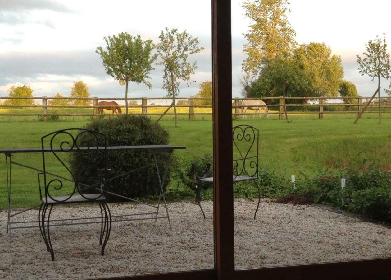 Haras Des Leudets Bed & Breakfast Blangy-le-Chateau Ngoại thất bức ảnh